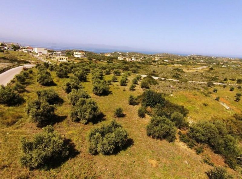 Chorafakia Chania Olivenbäume und Meerblick - in der Nähe von Stränden Grundstück kaufen